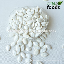 Hot sale pumpkin seeds price